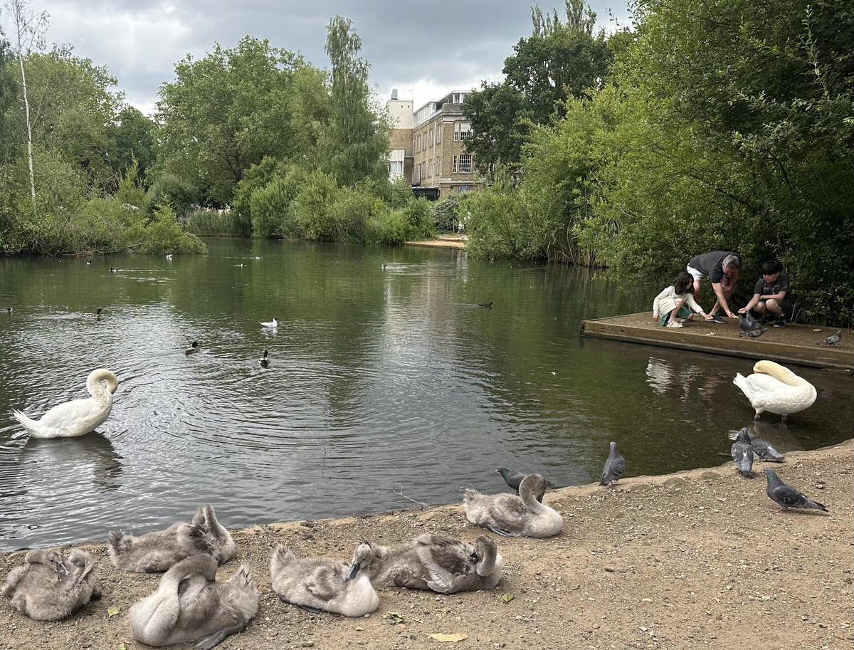 Charles Campion tweet media