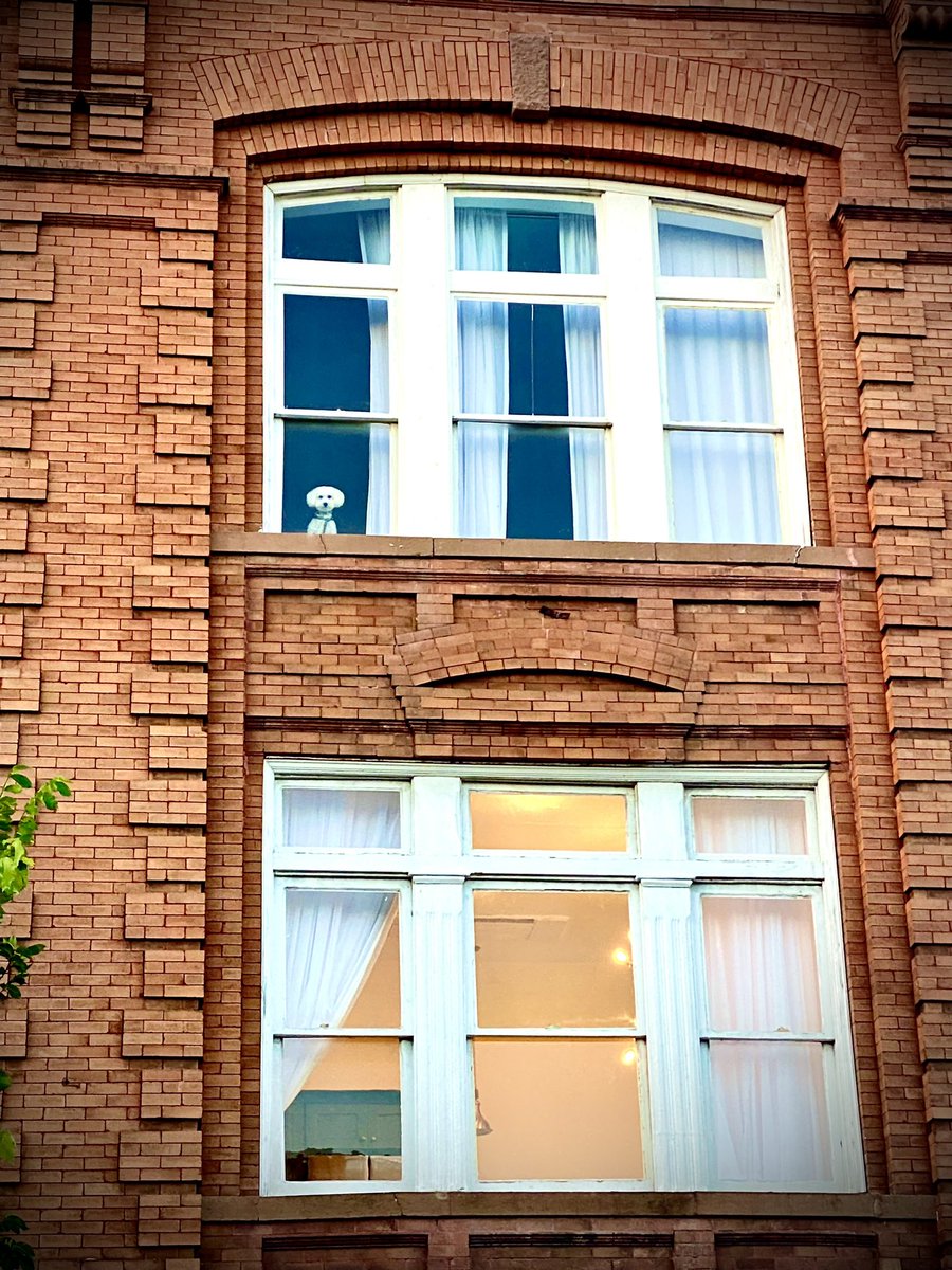 CLT Development's Campaign Committee tweet media