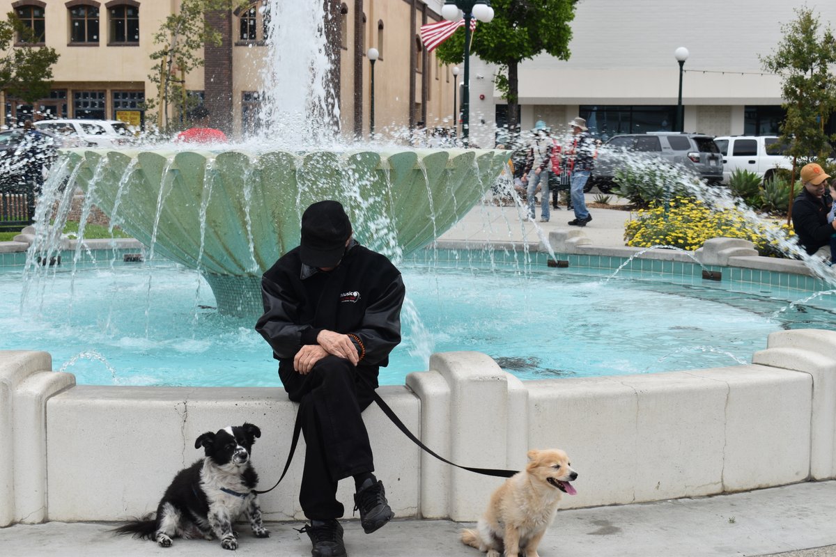 MonroviaFest's tweet photo. No doggie denial at Monrovia Music Fest. Bring your 4-legged children! We welcome them with open paws 🐾 🫂 Monrovia Music Fest is June 30th, 2024! See link in our bio for more event details. #dogfriendly #musicfestival #communityevent #dance #localartisans #onelove #tribe https://t.co/e41BjpfgXS