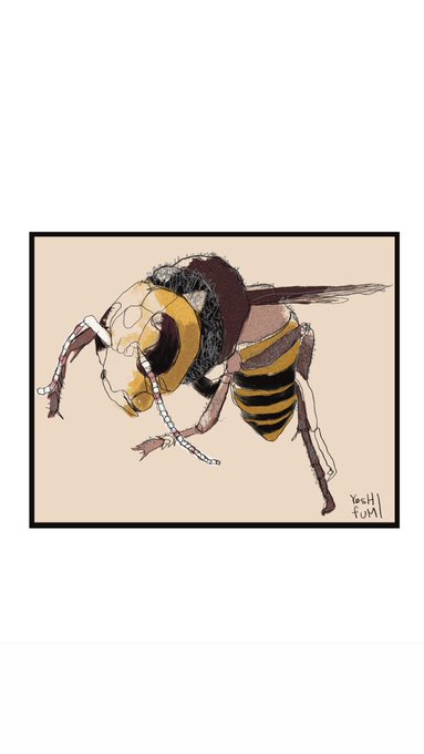 🐝 