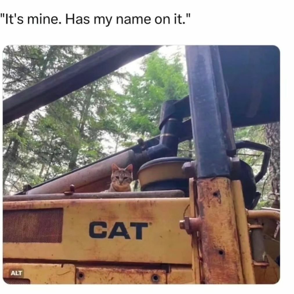 GQrYf_LaUAAMaPc