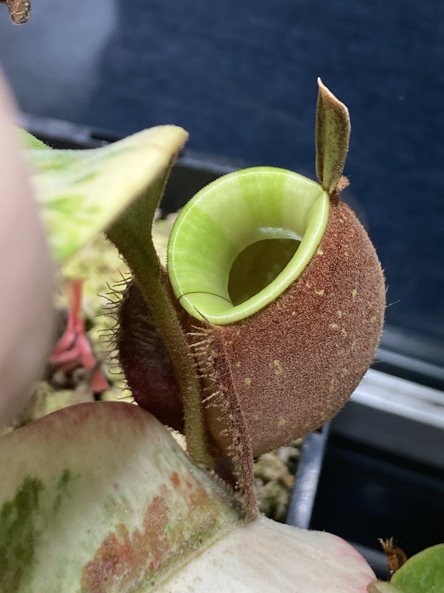 NEWamp2's tweet image. 