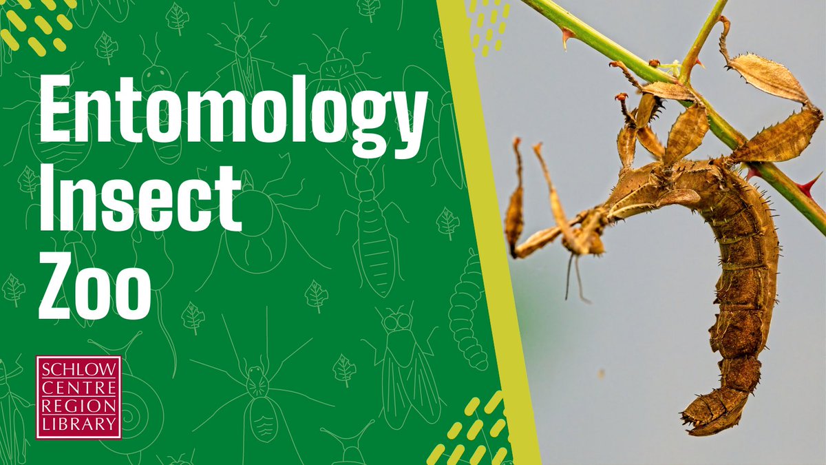 SchlowLibrary's tweet photo. Know any kids 3+yo interested in insects? Bring them in Thursday at 2:30pm to learn about and interact with the friendly arthropods from the @PSU_Entomology #InsectZoo! Visit https://t.co/4WinUriMVU for more info + registration. 🪲 https://t.co/hvTZUM09d5