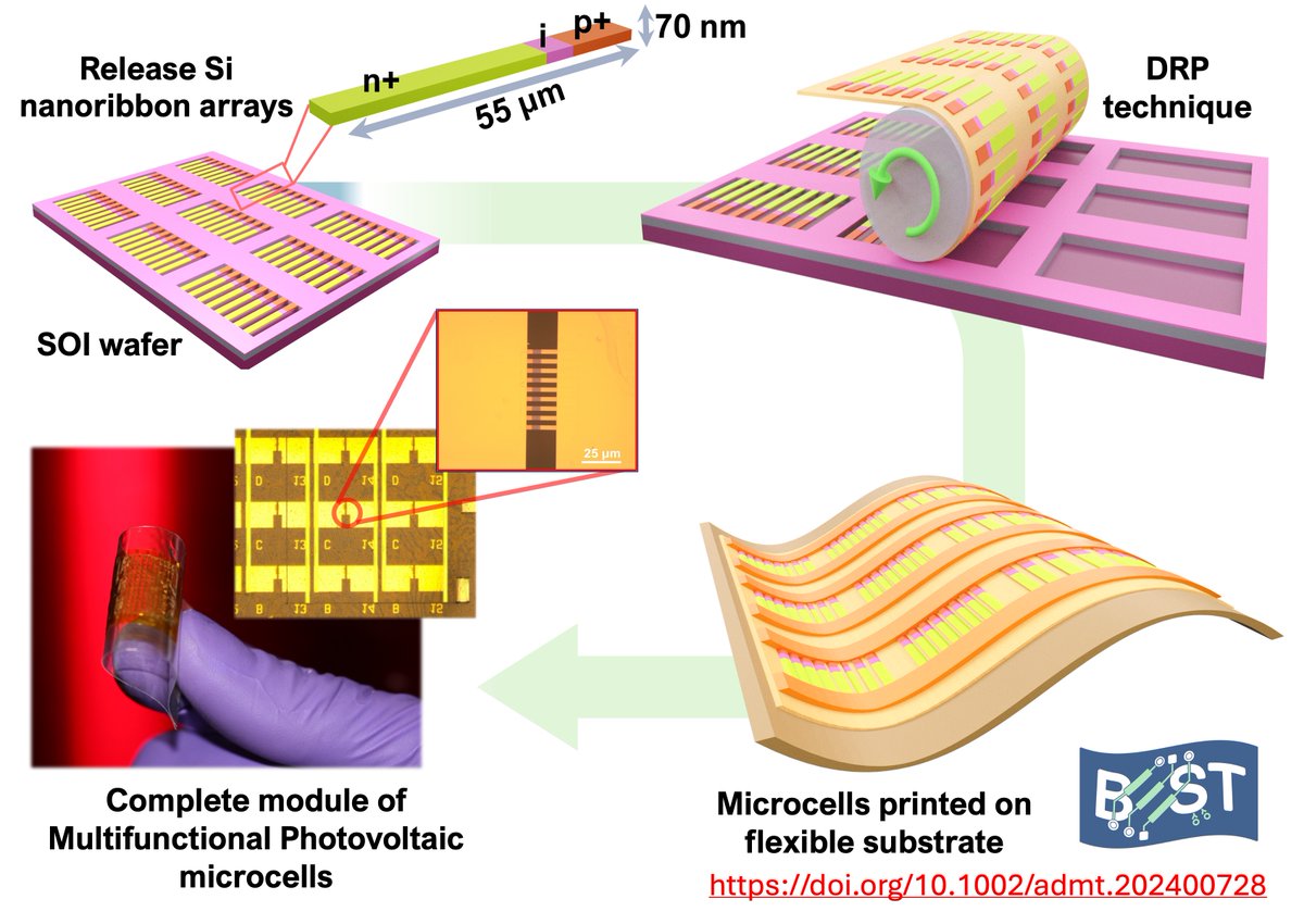 Printed Multifunctional Flexible Photovoltaic Microcells based on Silicon Nanoribbons! See our new work (doi.org/10.1002/admt.2…) published in Adv. Mater. Tech. These device work as energy harvester as well as photodetectors.