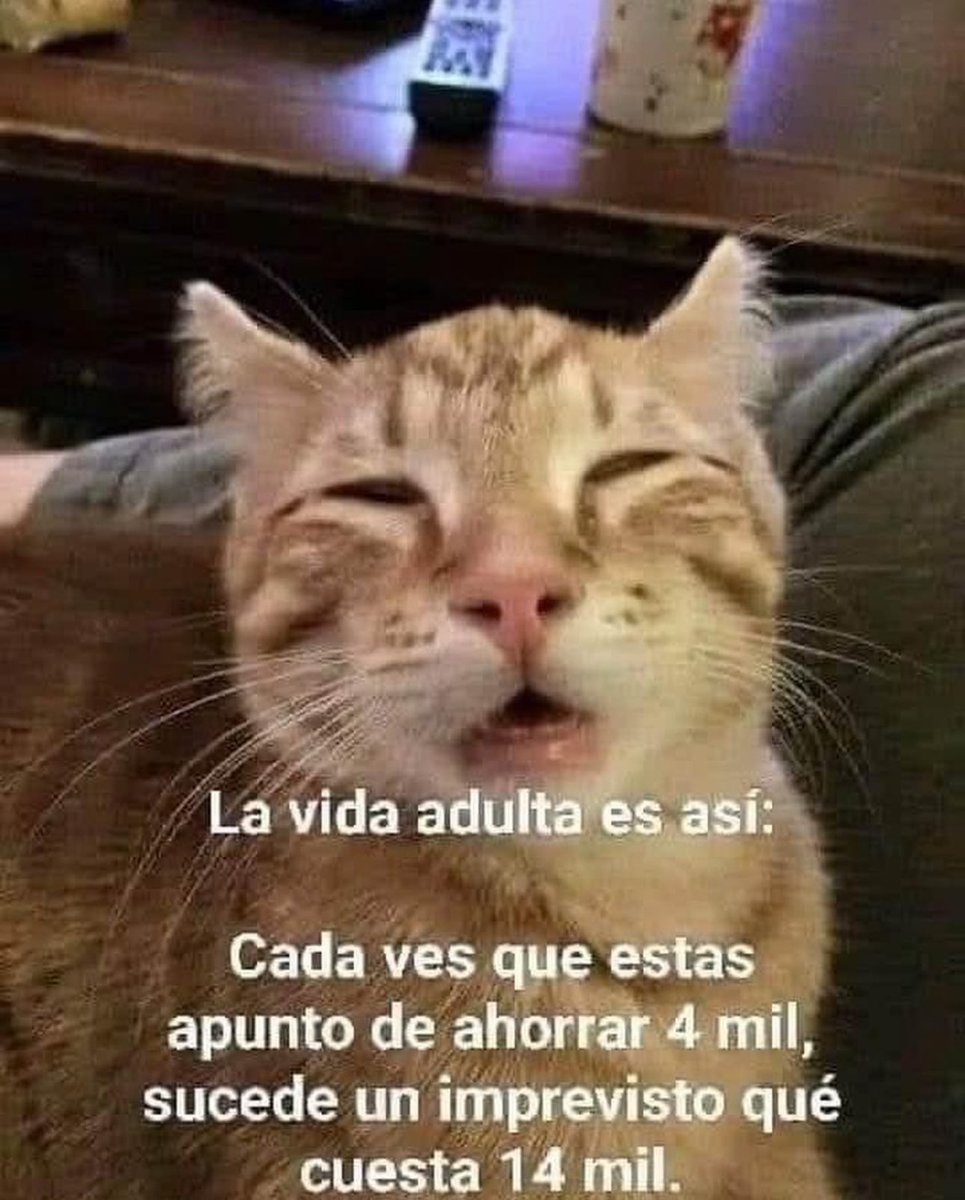 culturaliteral1's tweet image. 