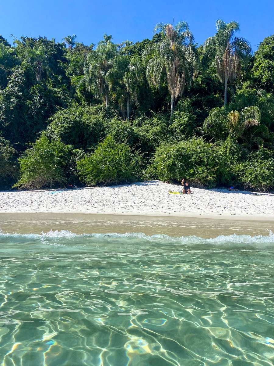 Chapta 🧪 tweet media