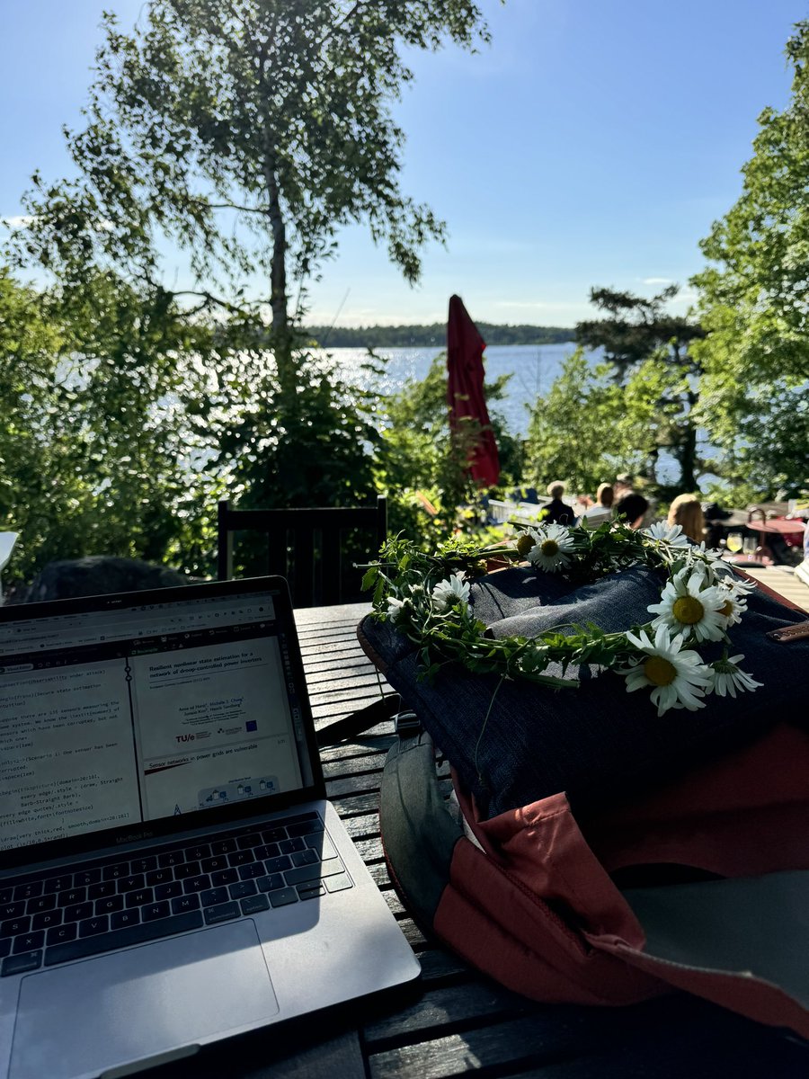 mst_chong's tweet image. Midsummer bliss before the European Control Conference next week!