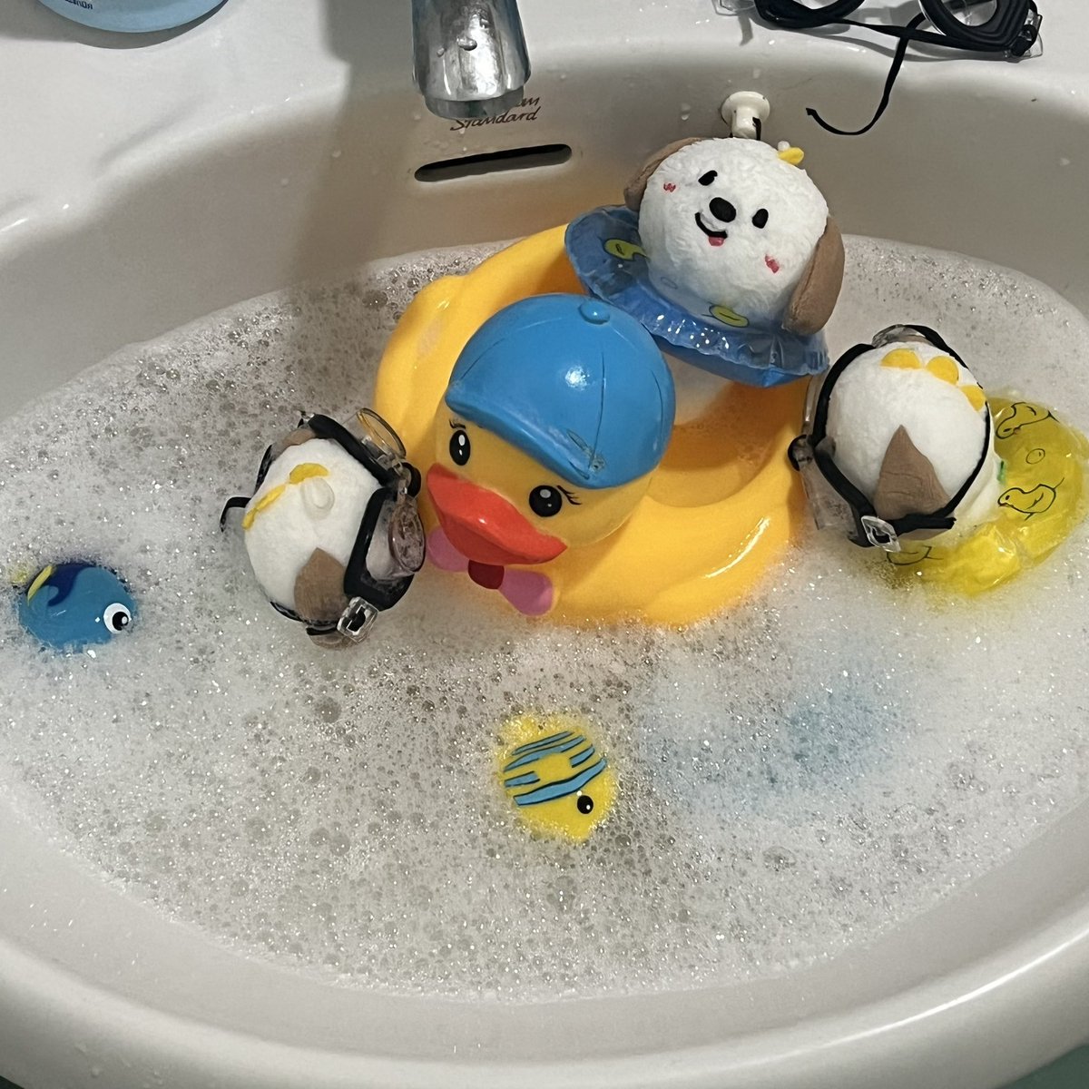 thosekito's tweet photo. water park🫧💦🐠 https://t.co/hoLsuBXCUs