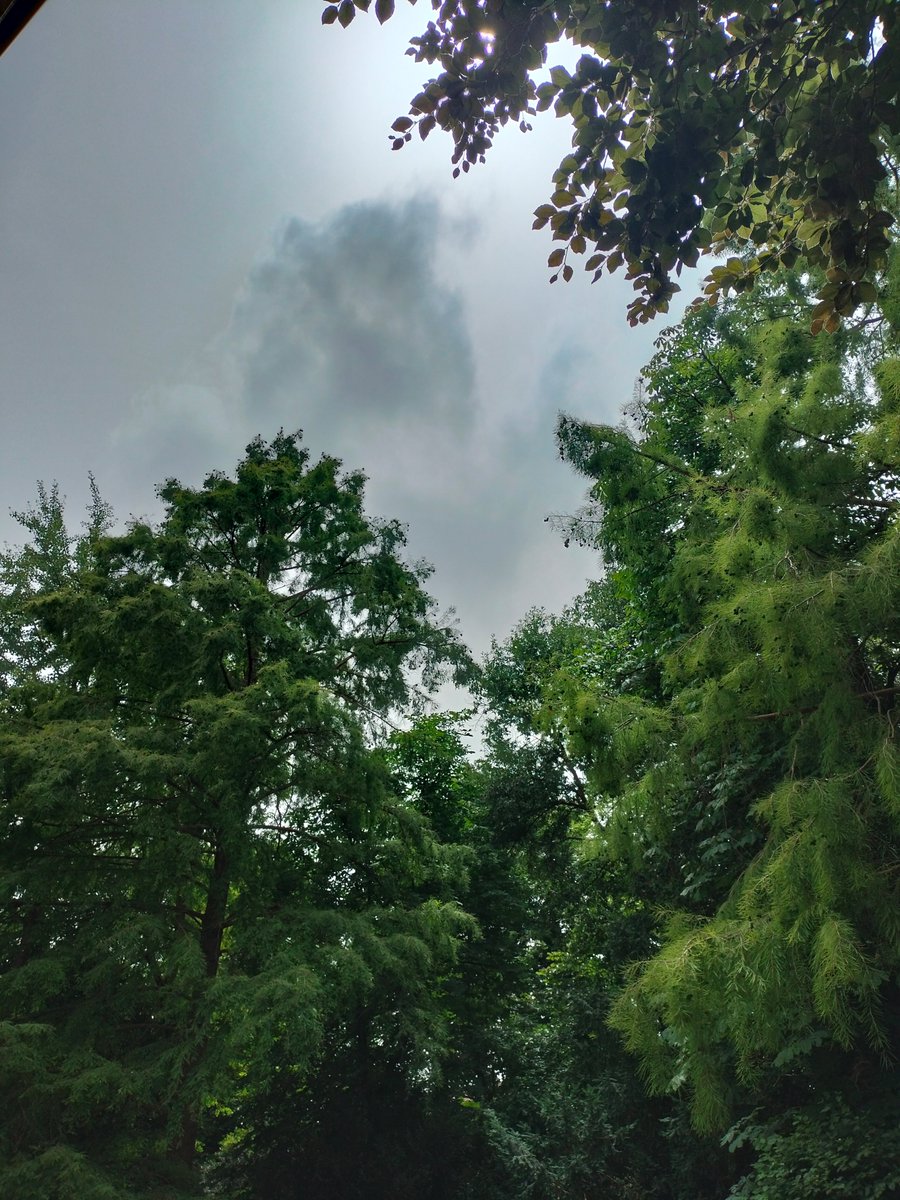 🟡 🇮🇹 LE SCHERMATURE MILITARI DEL CIELO.
Ancora attendiamo che le autorità ci spieghino esattamente cos'era la sostanza biancastra che ha offuscato i cieli d'Italia per quattro giorni. Certo non era nebbia, e la stressa RAI ha affermato che non era neanche sabbia del Sahara.
La