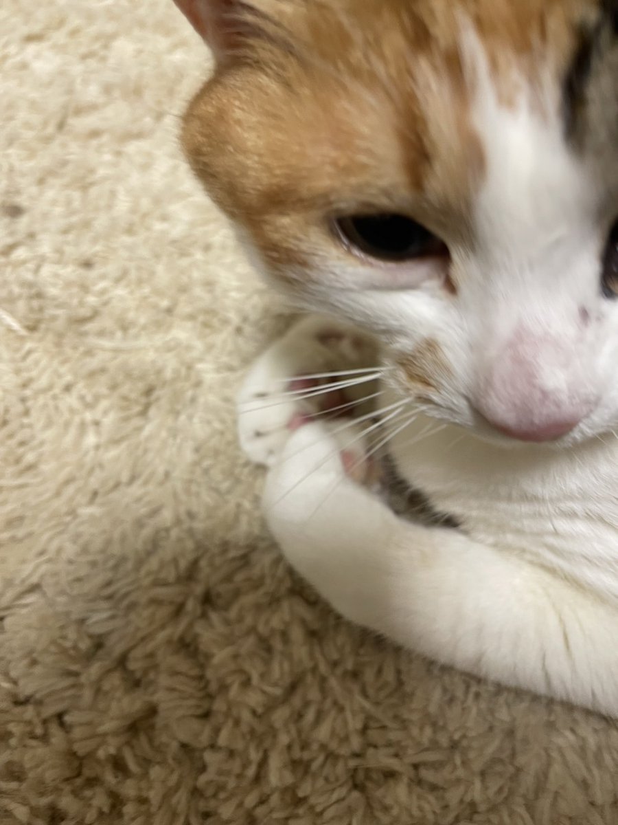 おいみりん tweet media