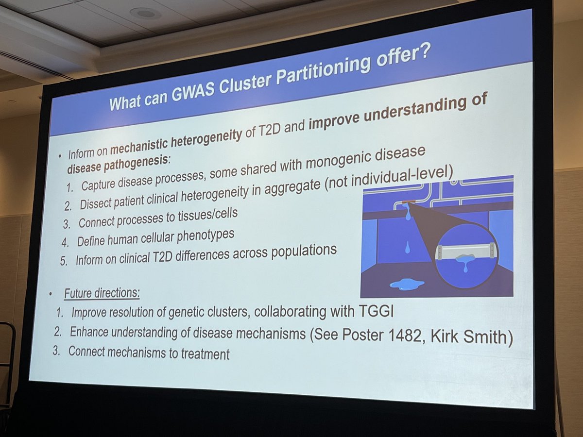 Pål R. Njølstad (@palrnjolstad) on Twitter photo <a href="/miriam_udler/">Miriam Udler</a> discusses how #T2D genetic cluster partitioning can inform understanding of disease pathogenesis <a href="/ADA_DiabetesPro/">American Diabetes Association - DiabetesPro</a> #ADA2024 @medofak_uib <a href="/haukeland_no/">Haukeland</a> @mohnfoundation #PRECISE_DIA <a href="/miriam_udler/">Miriam Udler</a> discusses how #T2D genetic cluster partitioning can inform understanding of disease pathogenesis <a href="/ADA_DiabetesPro/">American Diabetes Association - DiabetesPro</a> #ADA2024 @medofak_uib <a href="/haukeland_no/">Haukeland</a> @mohnfoundation #PRECISE_DIA