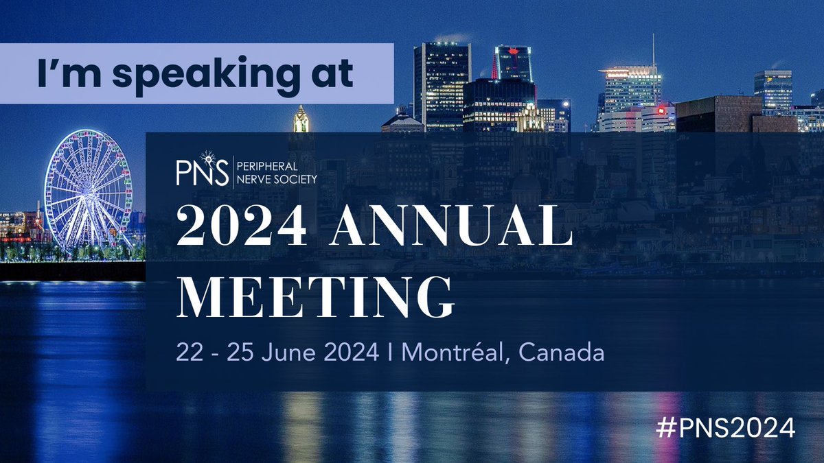 We may be at the PNS meeting but there are lots of implications from PNI in the CNS! Interested? Come check out my work for a flash talk today at 10:45am or a poster Monday at 2:15 (poster # P350) #PNS2024