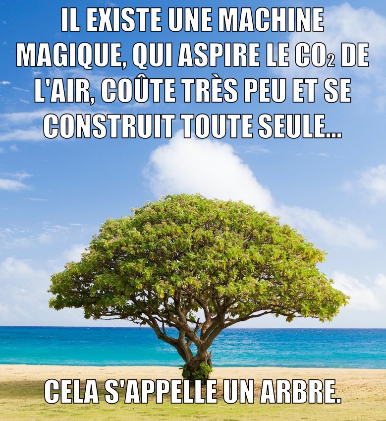 benoitm_mtl's tweet photo. #changementclimatique #arnaqueclimatique #nature #arbres https://t.co/xaItTsIVTn