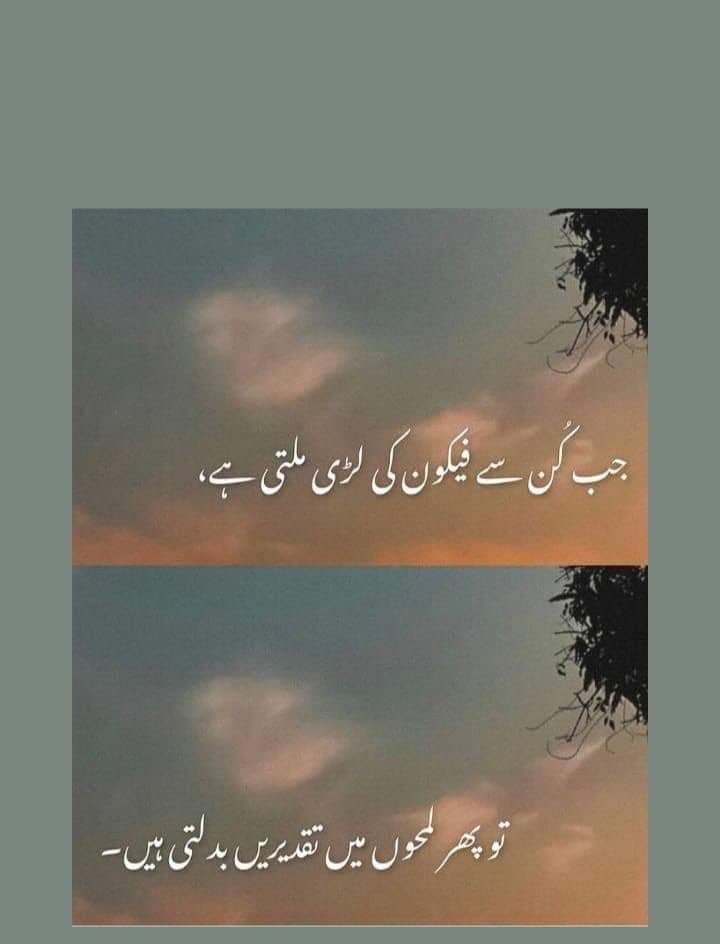 مجھے زندگی نے سکھایا ہے 
بوجھ بن جاؤ گے تو اپنے بھی گرا دیں گے