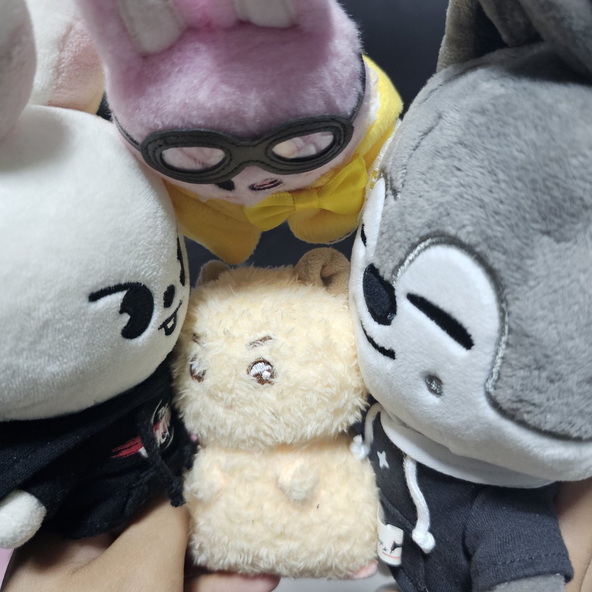 스키주들: (빤히)
한딱지: 나한테왜이러는것이오..?