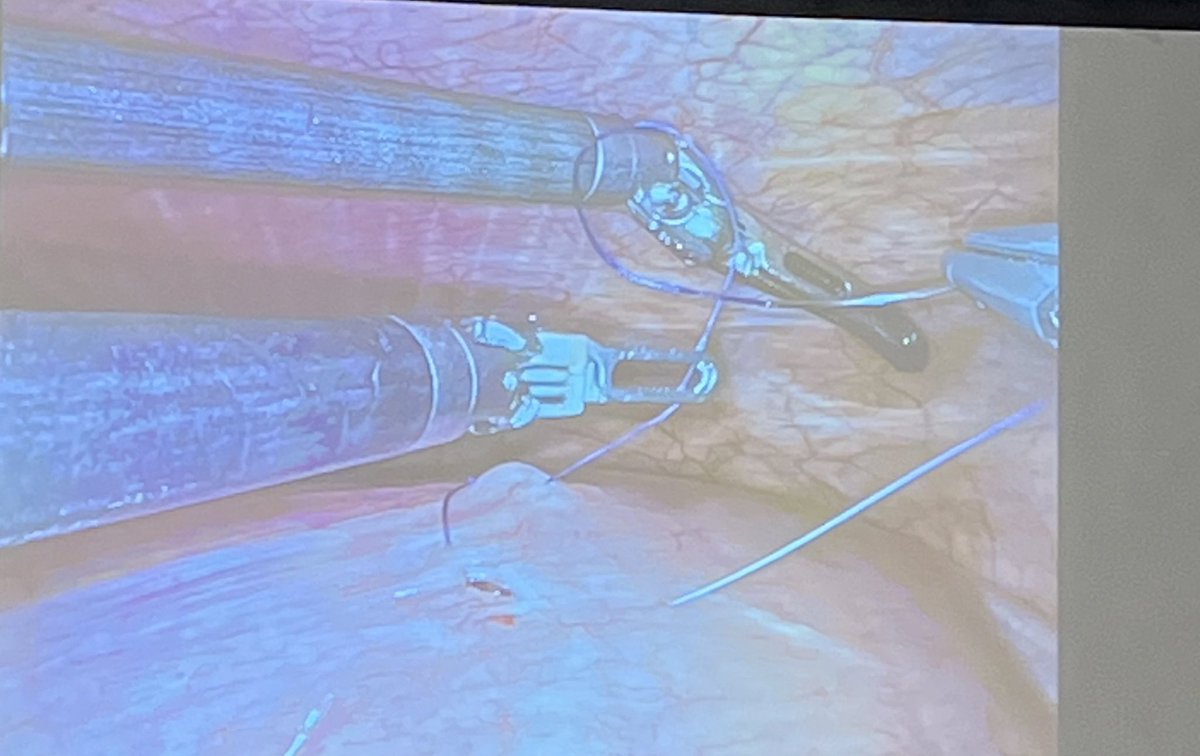 Lindsey Bridges tweet media