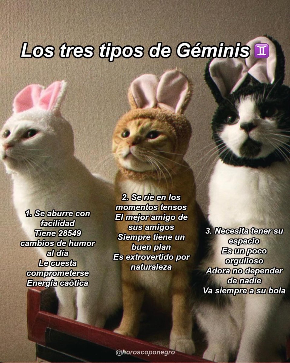 geminis_hn's tweet photo. ¿Con qué tipo te identificas más? ✨🔮✨ https://t.co/uItmFvoxn6