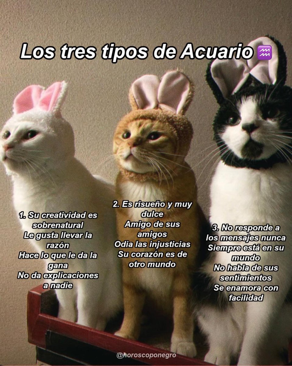 ¿Con qué tipo te identificas más? ✨🔮✨
