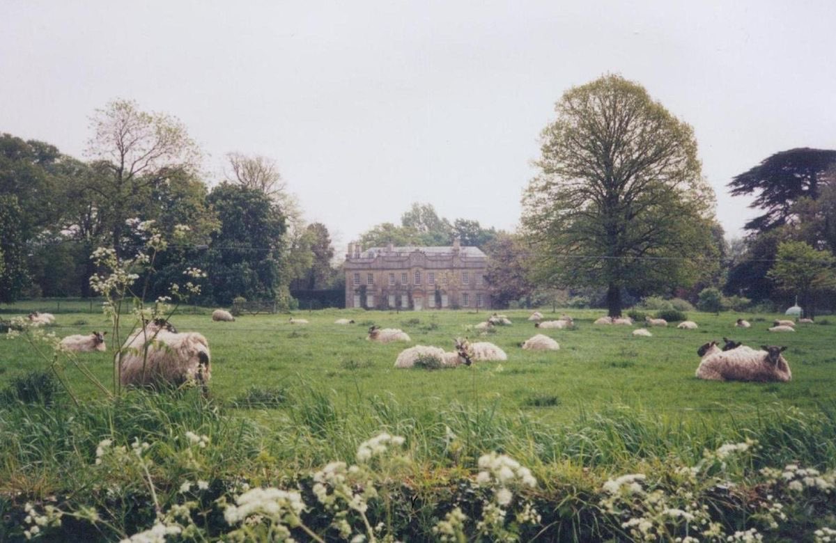 Saturday cottagecore moodboard 🐑🌿🌼