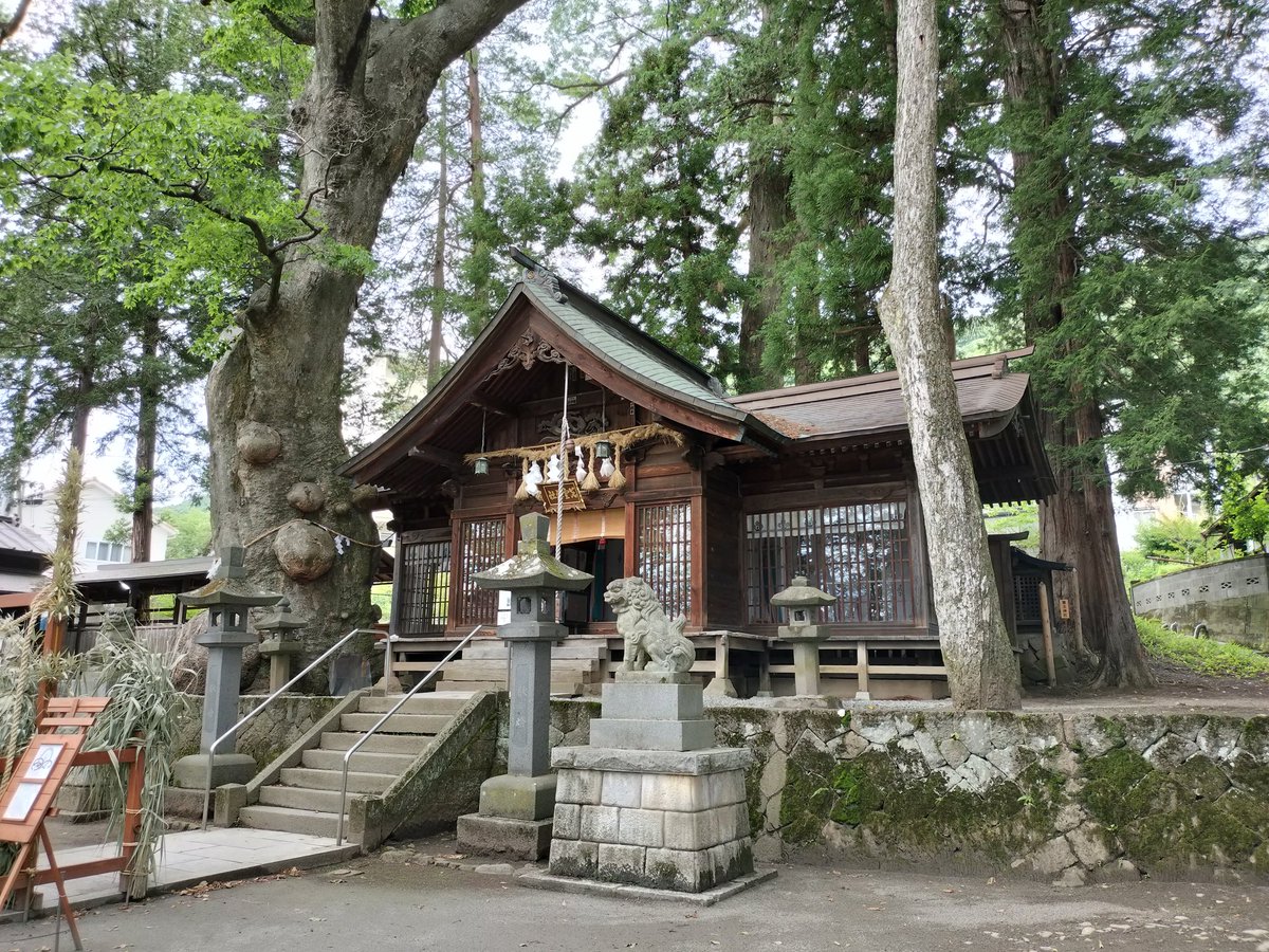 Ve06OIHRCeNUMhq's tweet photo. 長野県諏訪市にあります先宮神社の御朱印です。境内にはケヤキの大木があり、市の天然記念物に指定されています。#御朱印　#先宮神社 https://t.co/13k0Mv5lbb