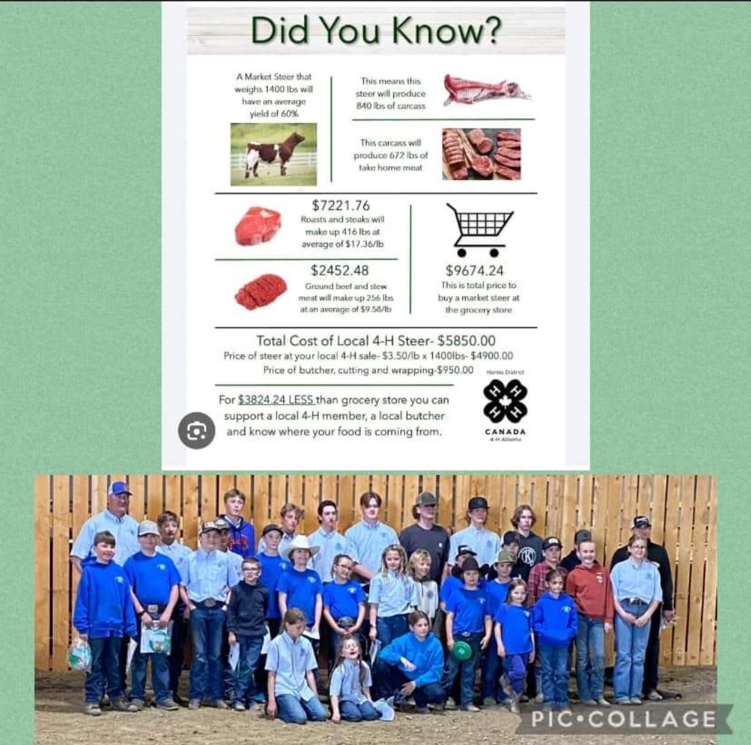 These kids of Wymark Drylanders 4H Club have worked hard all year with their projects.  Come on out to Frontier Days June 27 to 29th.  With the steer sale on June 29th at 430.