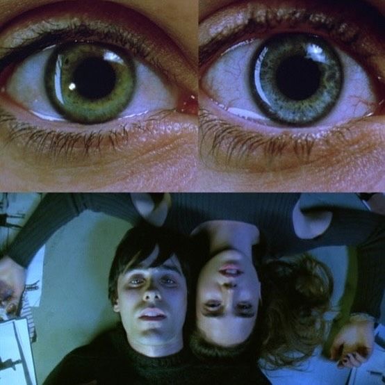 Nostalgia tweet media