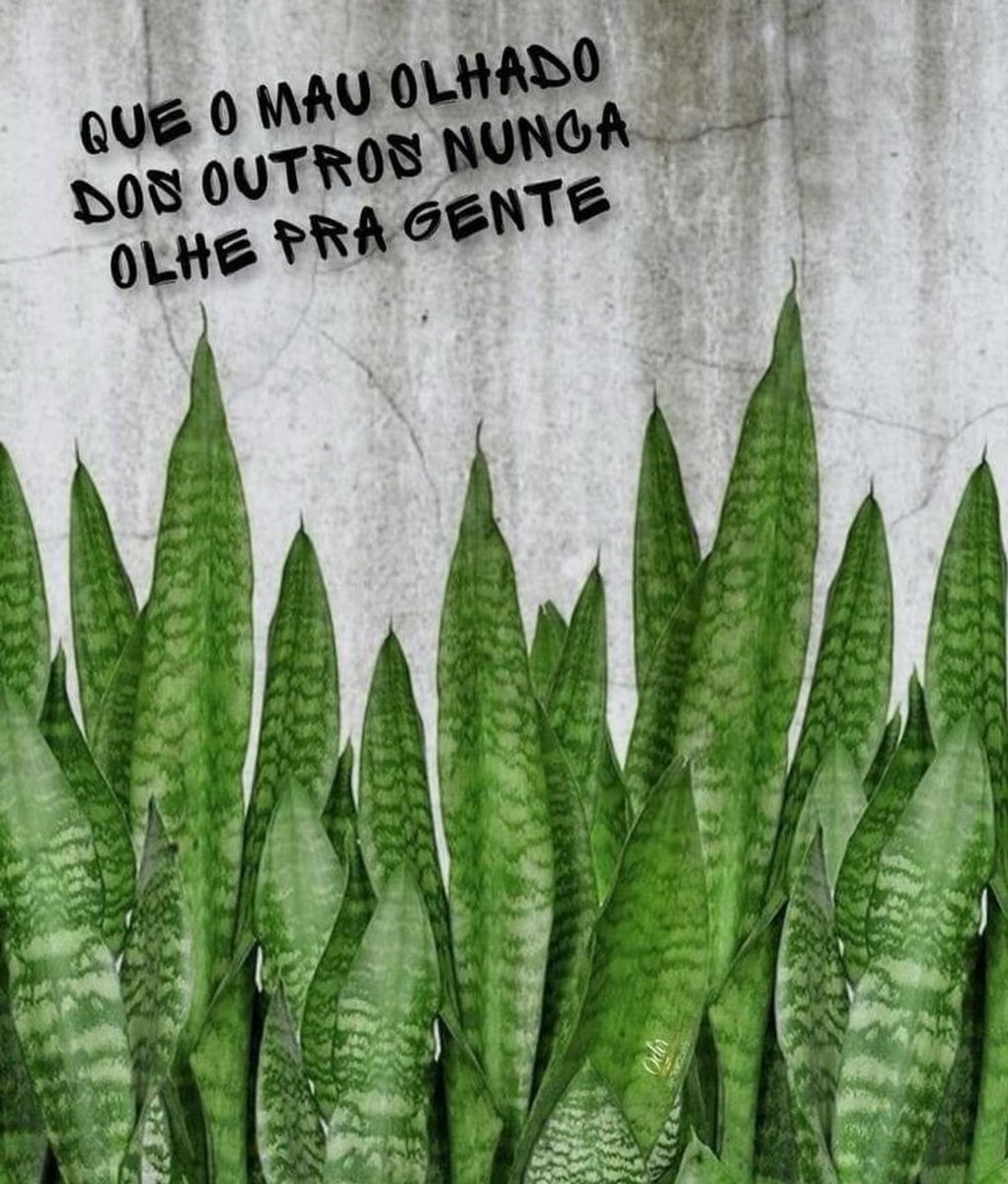 umbandaconselho's tweet photo. https://t.co/VjY2BlhfQa