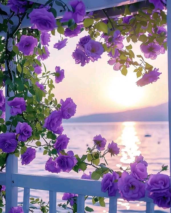 。🌿。🌺。🌿。
🌺。＼｜／。🌺
Wonderful place beautiful landscape.