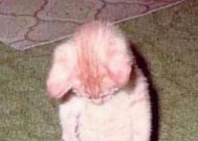 the ' strongest ' (@lonedconsuming) on Twitter photo 