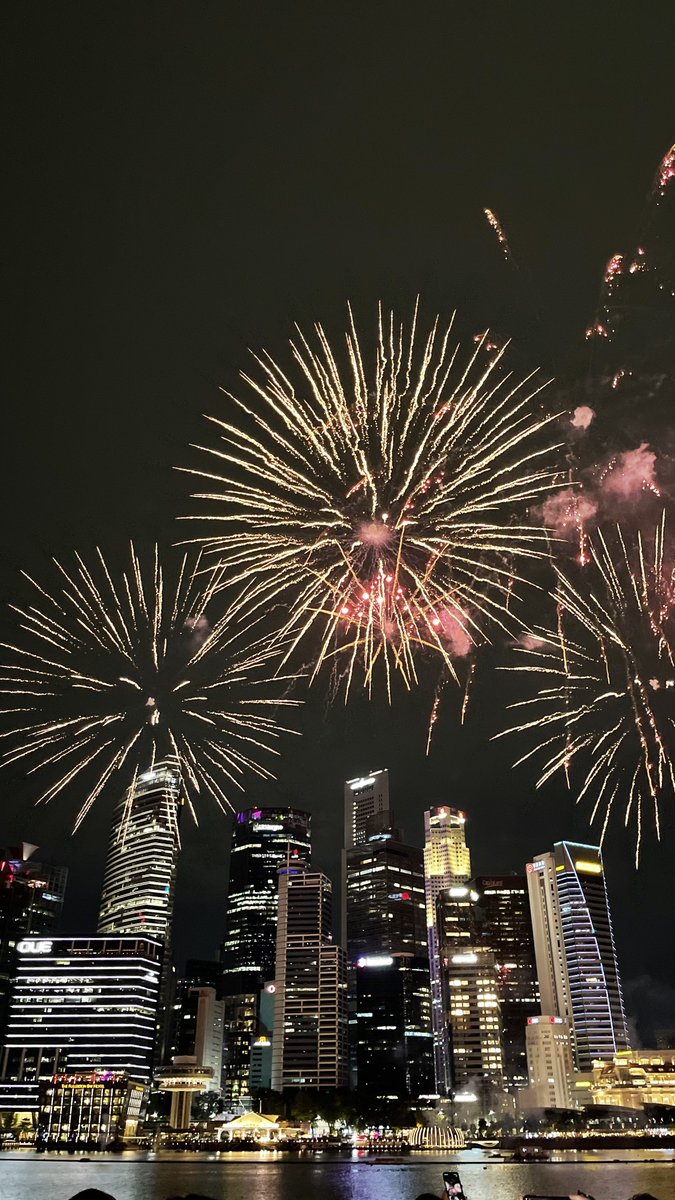 On my last day, Singapore said goodbye in the most spectacular way with an incredible sea fireworks display.🎇🎆🇸🇬