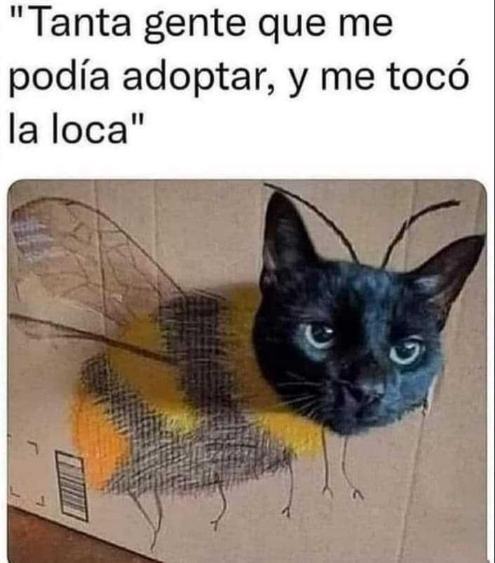 🤣🤣🤣🤣