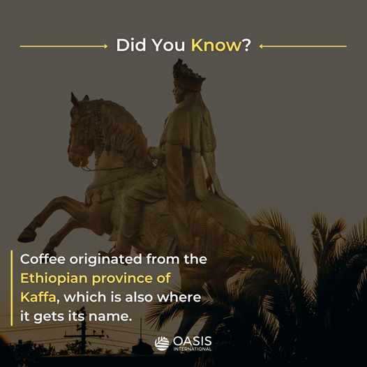 OasisIntLtd's tweet photo. How much do you know about your coffee?
Coffee has been part of our lives for what seems eons, it is said to have originated in Ethiopia, Kaffa province. 
What flavor coffee do you enjoy?

#Africa #FunFact #Bible #Christ #Ethiopia https://t.co/LywcK463Wy