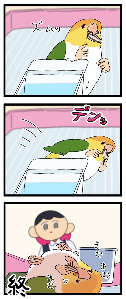 シロハラインコ、そういうところある🧐

1157 #えるポピの絵日記かくところ 