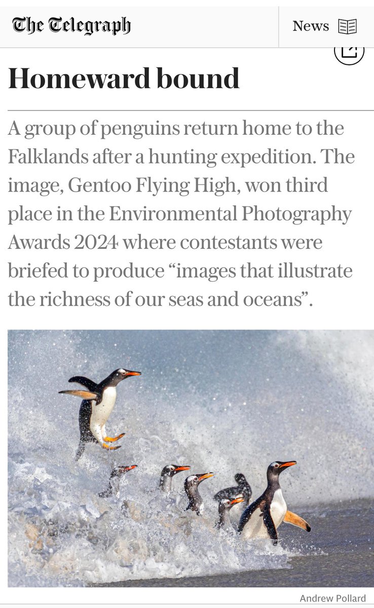 Always nice to be featured in the <a href="/Telegraph/">The Telegraph</a> 😁