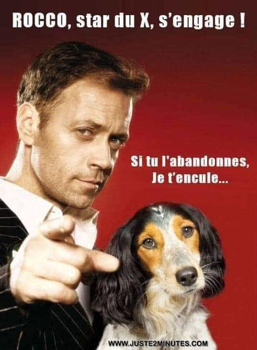 Ça manque d'une certaine poésie mais c'est clair 🙄🤗