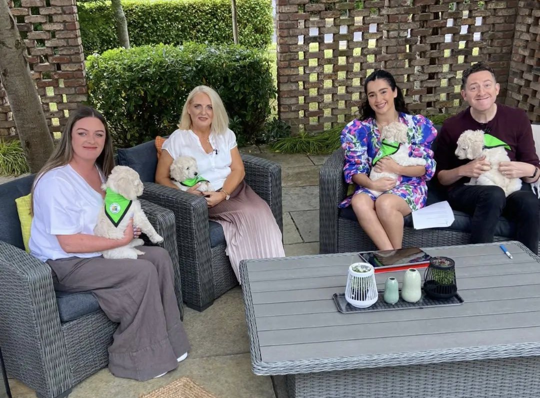 My Canine Companion (@mycaninecompani) on Twitter photo Well done to Laura, Nikki and our Z litter who did a fantastic interview on <a href="/IrelandAMVMTV/">Ireland AM</a> this morning!
Thank you to <a href="/BrookeScullion/">Brooke Scullion</a> and <a href="/rayfoleyshow/">Ray Foley</a> for helping us to spread awareness about MCC and the work our dogs do!
#TEAMMCC Well done to Laura, Nikki and our Z litter who did a fantastic interview on <a href="/IrelandAMVMTV/">Ireland AM</a> this morning!
Thank you to <a href="/BrookeScullion/">Brooke Scullion</a> and <a href="/rayfoleyshow/">Ray Foley</a> for helping us to spread awareness about MCC and the work our dogs do!
#TEAMMCC
