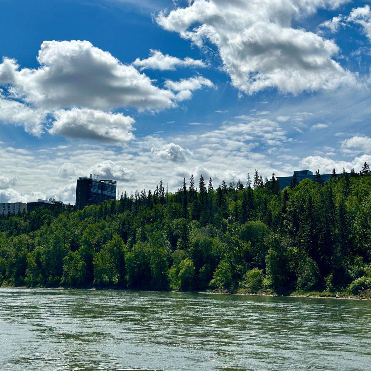 RiverWatch Alberta tweet media