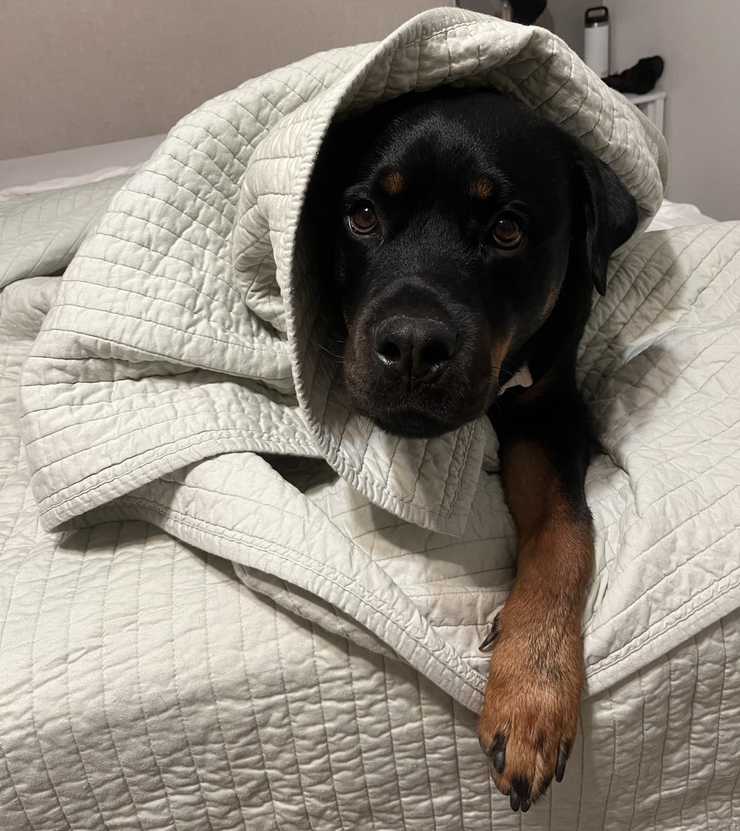 Truly don’t understand how you can be scared of this little face???