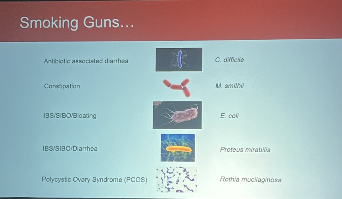 Carol Antequera DMSc, PA-C (@cma1212) on Twitter photo Fascinating talk about #microbiome by <a href="/MarkPimentelMD/">Mark Pimentel MD</a>
โ
stool is not representative of the microbiome
โ
small bowel bacteria are different from stool
โ
premenopausal women have a different microbiome from post menopausal women
โ
Does microbiome vary by age?
#GIReconnect Fascinating talk about #microbiome by <a href="/MarkPimentelMD/">Mark Pimentel MD</a>
โ
stool is not representative of the microbiome
โ
small bowel bacteria are different from stool
โ
premenopausal women have a different microbiome from post menopausal women
โ
Does microbiome vary by age?
#GIReconnect