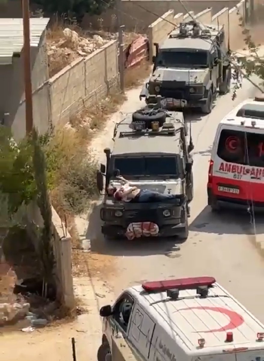 Arsen Ostrovsky tweet media