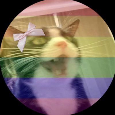 t_kelly15's tweet photo. Boots declares himself eligible for the Bow Army https://t.co/qyecXRjvXf