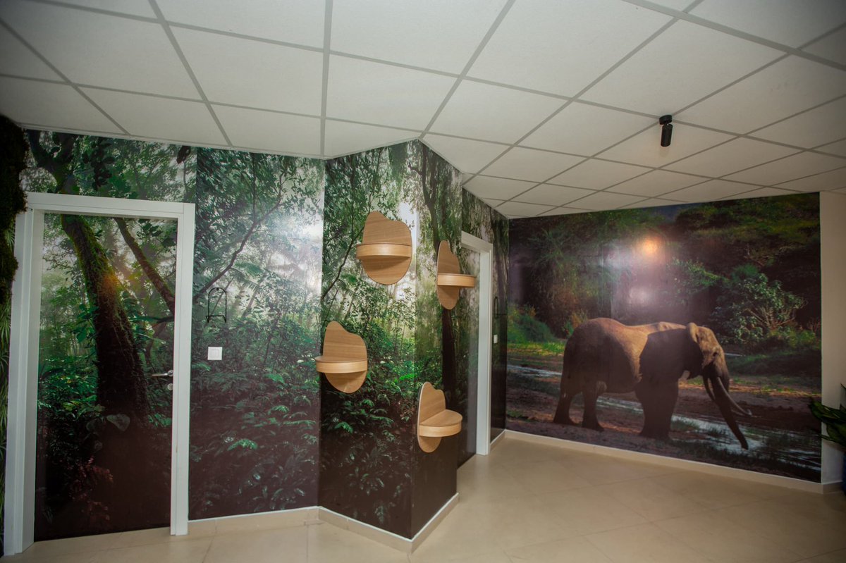 Fonds Bleu pour le Bassin du Congo tweet media