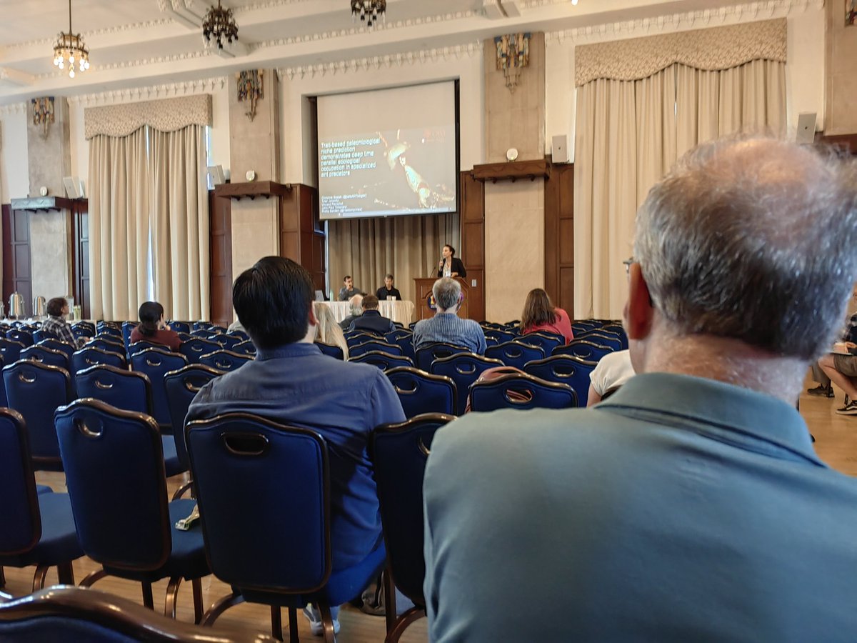 Qijian Li tweet media