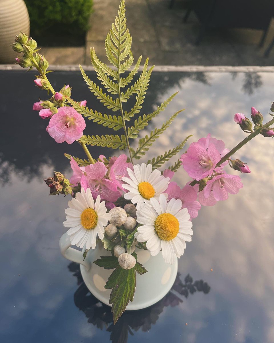 bookbound2019's tweet photo. Garden flowers #CheeringMyselfUp https://t.co/iKkfCCMoKI
