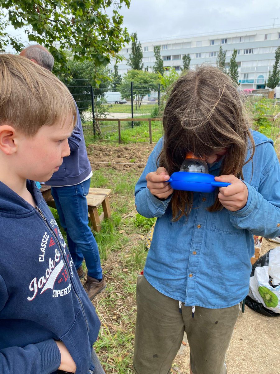 Pause méridienne enrichie: les écodélégués lors de l’atelier biodiversité ont été accompagnés par la Régie de  quartier Diagonale pour l’observation d’un compost végétal. Observer pour comprendre, pour apprendre #E3D