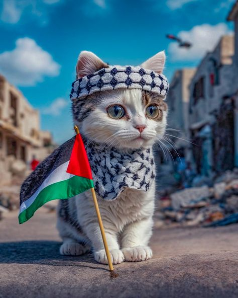 My name is Mary and I love to support Palestine every day, what about you?