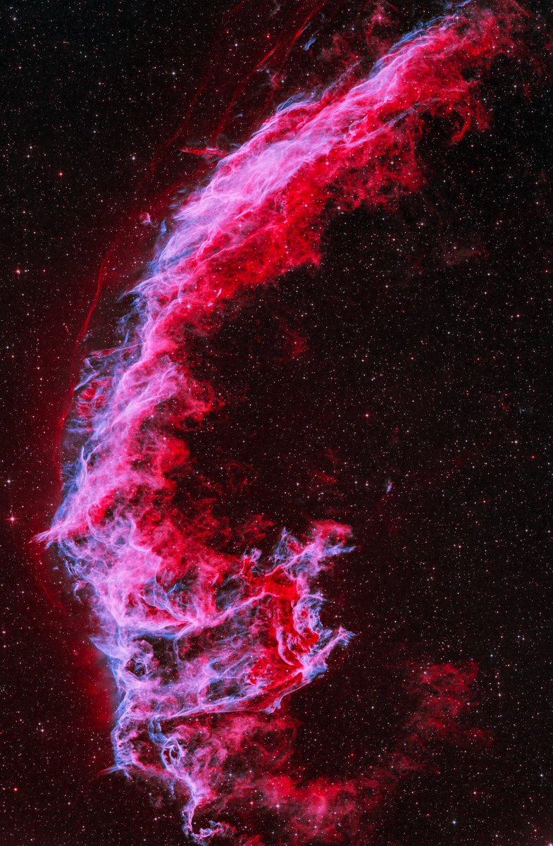 What's your favorite section of the Cygnus Loop?

Astrophotographer Jack Groves makes a strong case for the Eastern Veil Nebula with this stunner! Jack used an 8" Newtonian and the <a href="/zwoastro/">ZWO</a> 2600MM camera to reveal sharp details in this massive region of nebulosity.