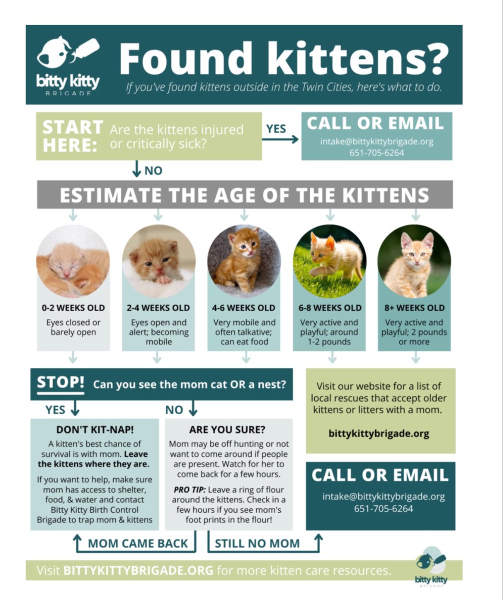 Tom Basgen, Mr. Saint Paul tweet media