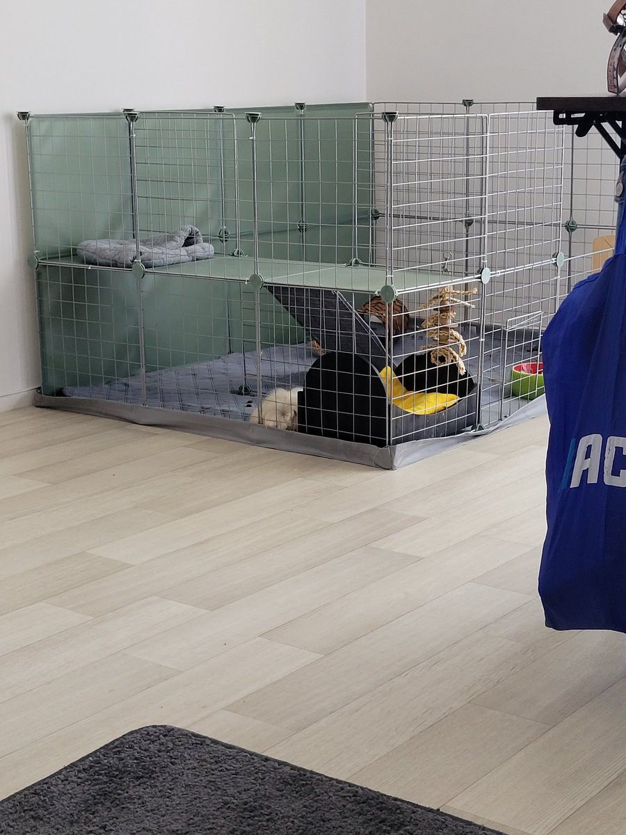 malouchons's tweet image. Voici mon nouveau château parce que maman et moi on a trouvé une autre maison que chez papi et mamie. 💚