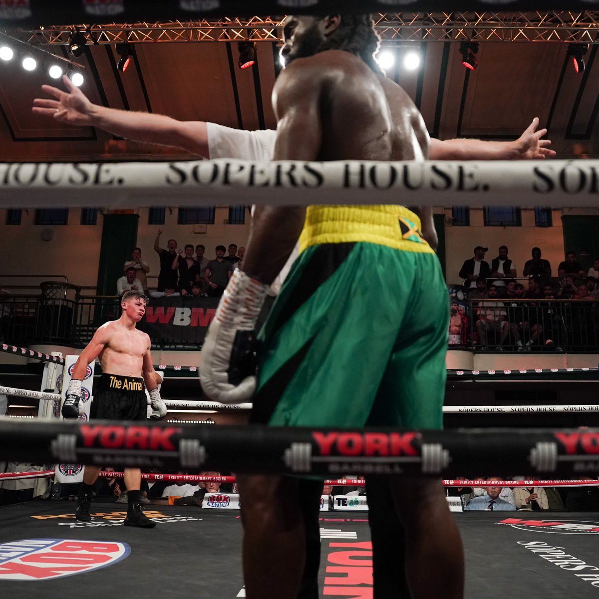 exigosports's tweet photo. Well done to Lloyd Farrington getting his first KO last night in the Exigo® V1 Vici Gloves 🥊 #JobDone https://t.co/YJJl1wJdE9